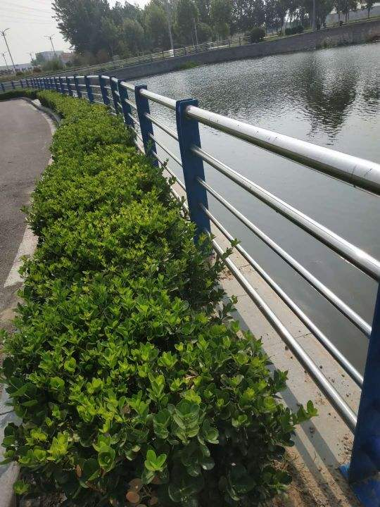 河道護欄